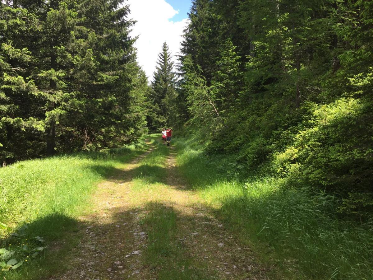 Ferienwohnungen Bianca Hasler - Stallbauer Pusterwald Exterior photo